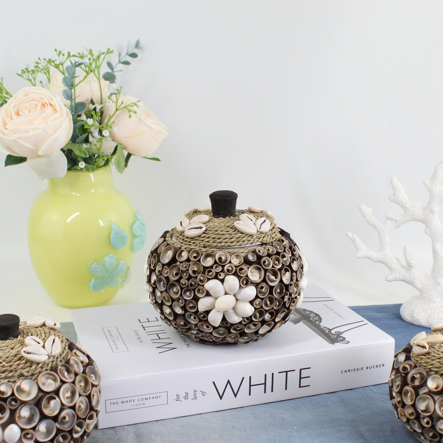Handmade large seashell storage box with cowrie shell lid and rope accent, coastal jewelry and keepsake holder for beach-inspired décor.