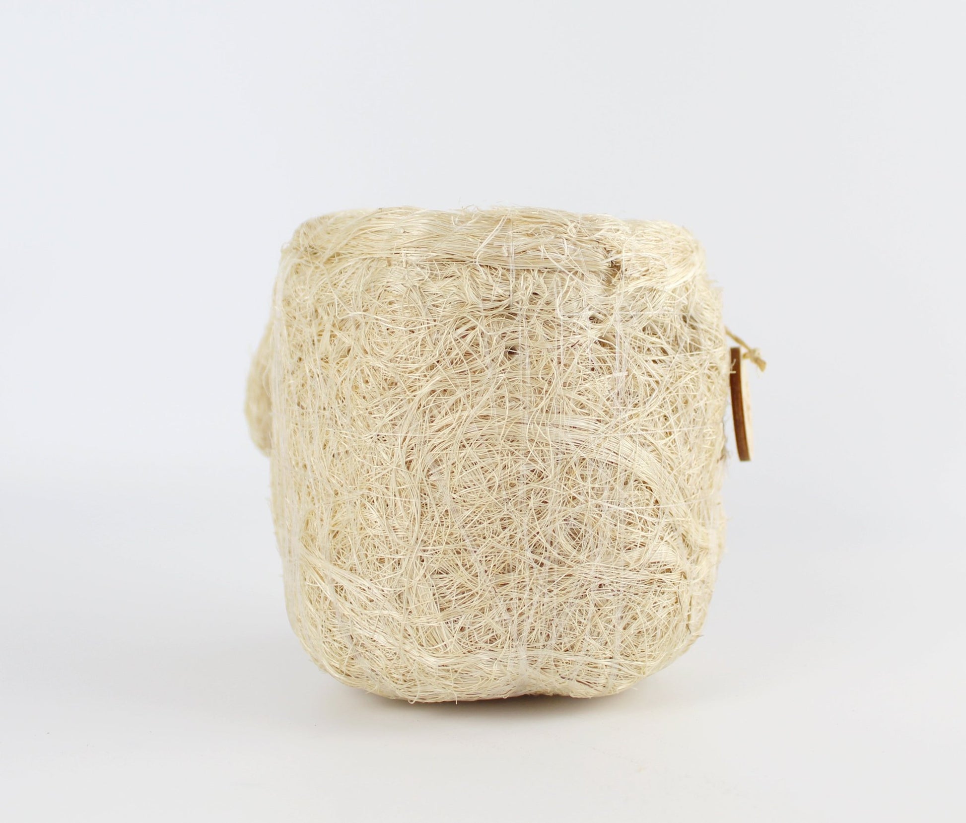 Handmade Coco Coira Animal Planter- Mini Pot Dog - Eco Handcraft store