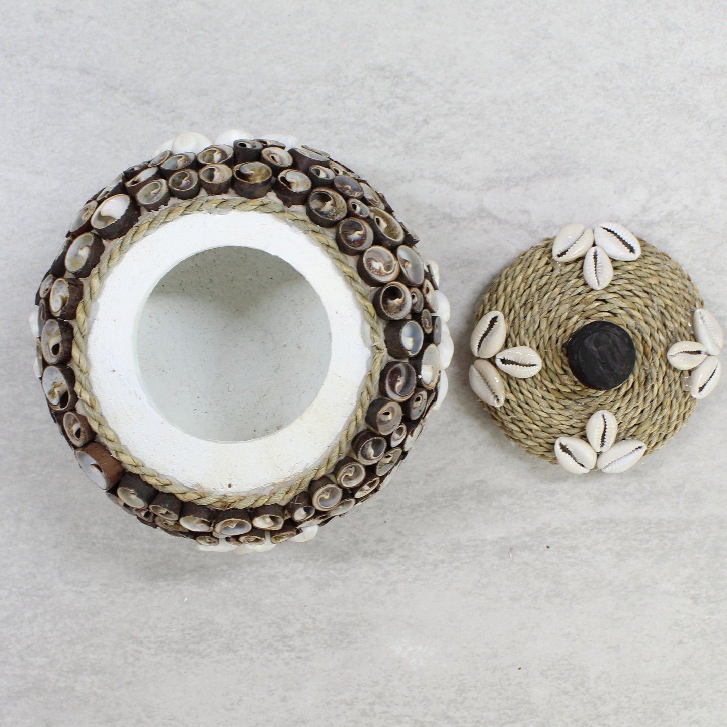 Close-up of handmade large seashell storage box featuring spiral shells, rope lid, and cowrie shell accents, eco-friendly coastal décor piece.