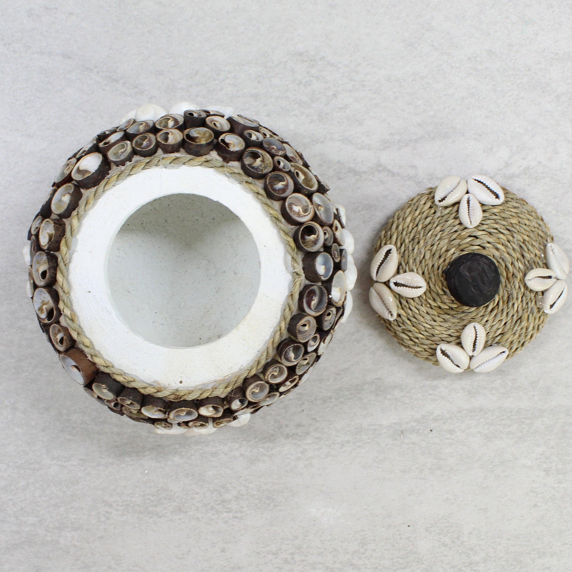 Close-up of handmade large seashell storage box featuring spiral shells, rope lid, and cowrie shell accents, eco-friendly coastal décor piece.