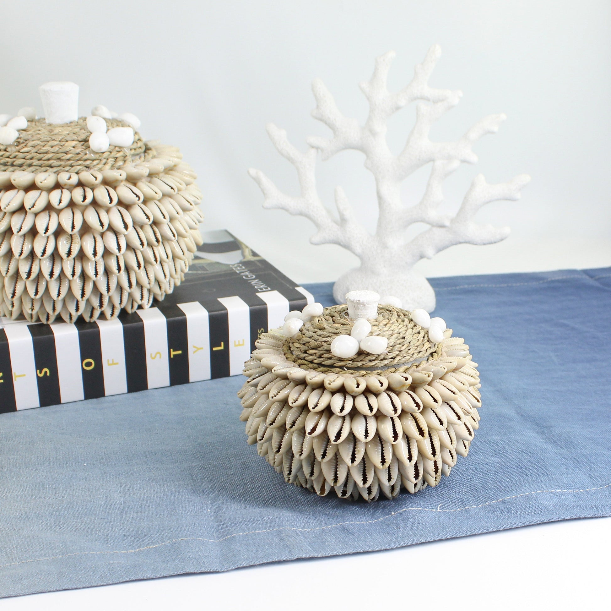 Beach-inspired layered cowrie shell boxes with rope lids styled beside white coral for ocean-themed décor.