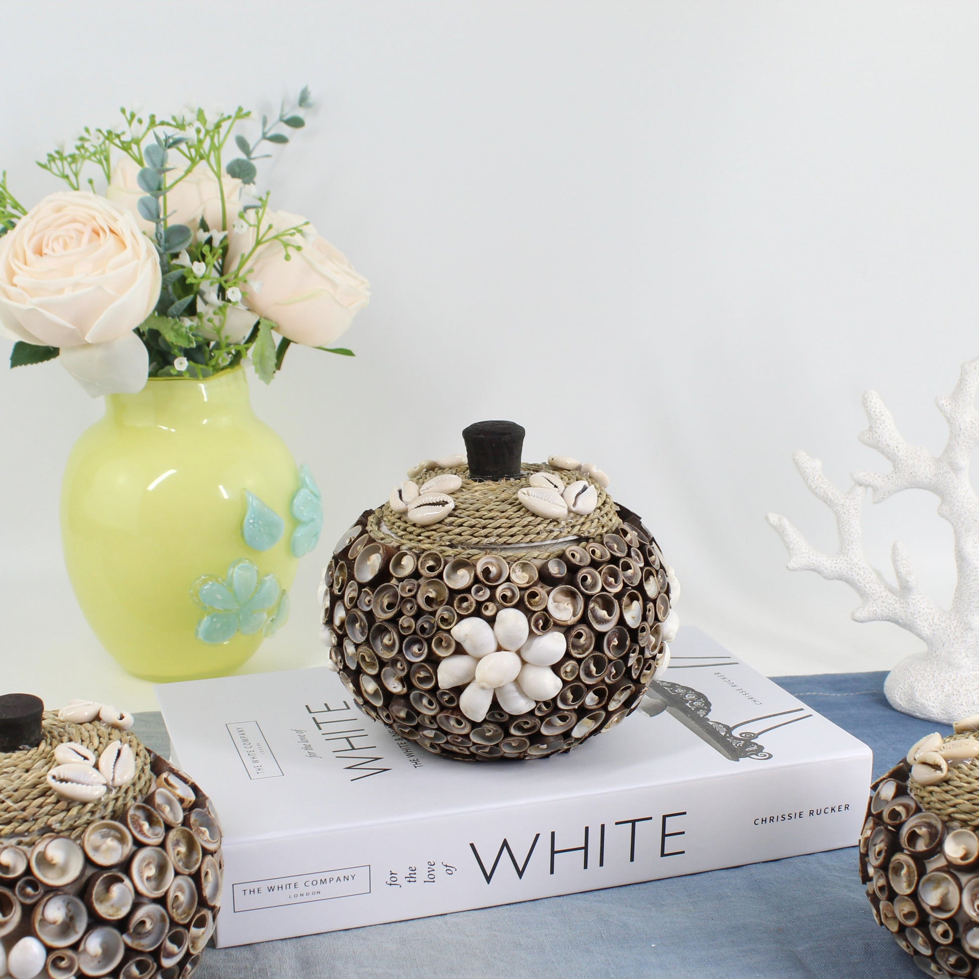 Handmade large seashell storage box with cowrie shell lid and rope accent, coastal jewelry and keepsake holder for beach-inspired décor.