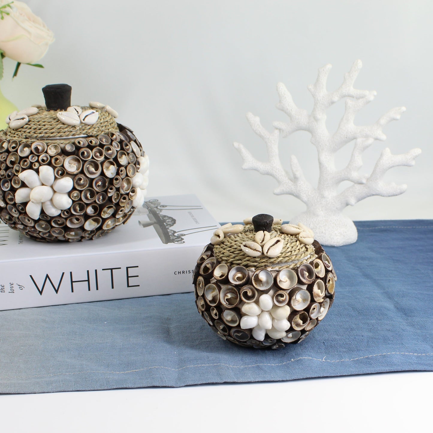 Handmade small seashell storage box with cowrie shell rope lid, compact artisan box for trinkets, jewelry, and coastal-style décor.