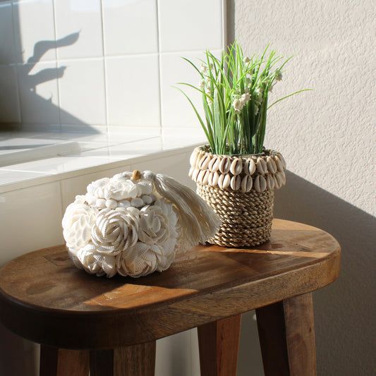 Sunlit coastal décor scene featuring a handmade white seashell flower box with tassel and a natural seagrass planter accented with cowrie shells on a wooden stool.