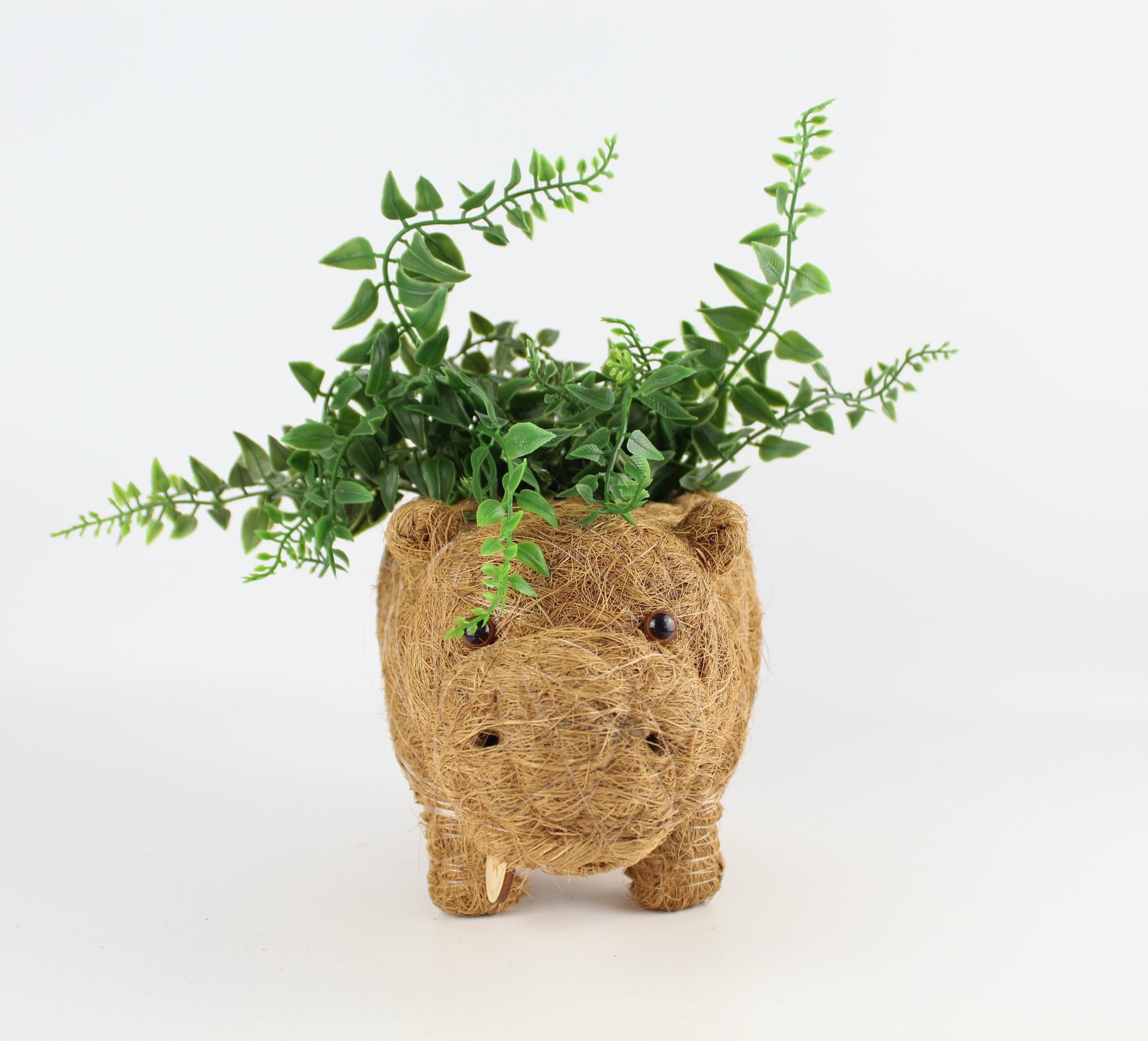 Handmade Coco Coira Animal Planter- Baby Hippo - Eco Handcraft store