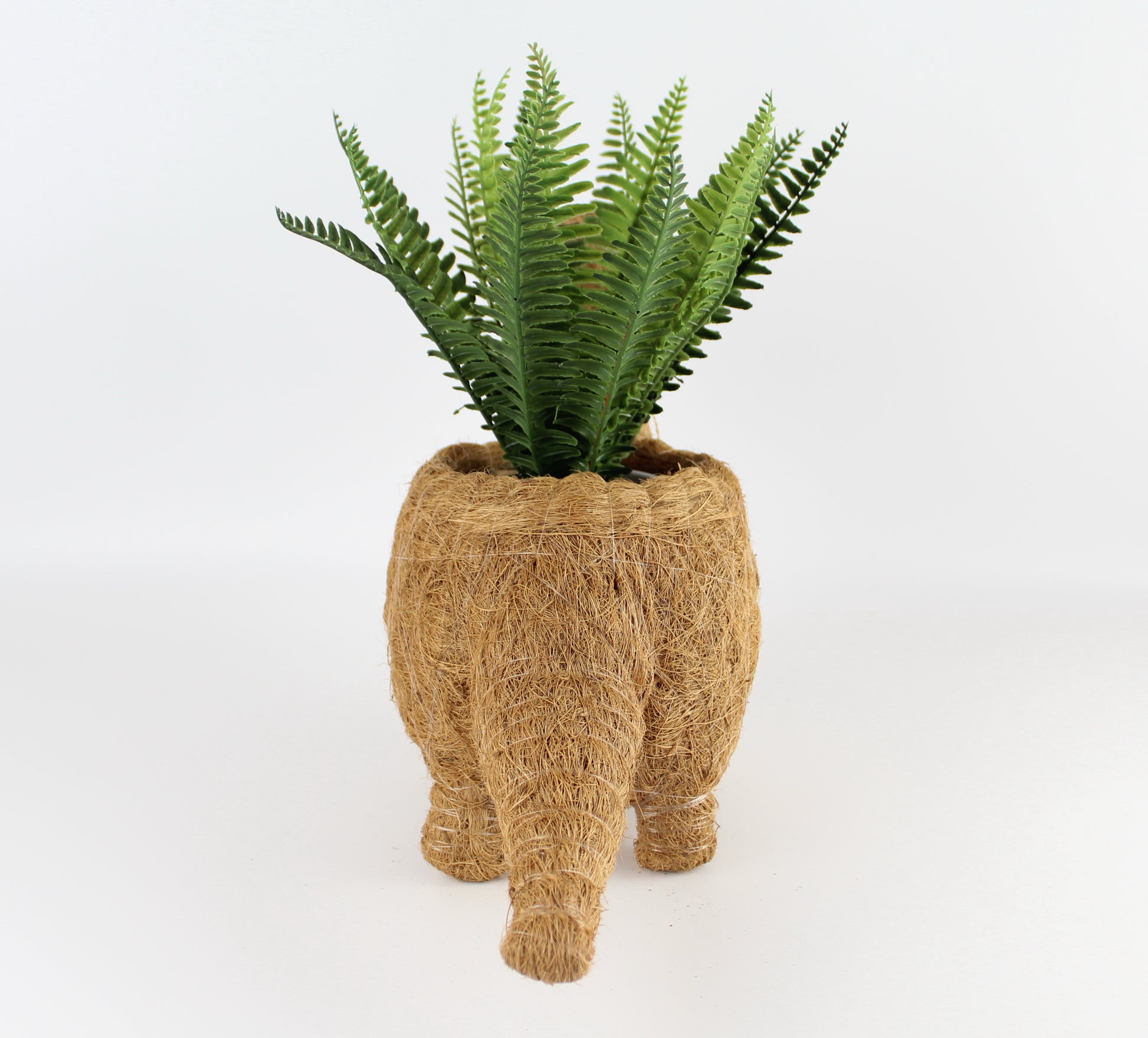 Handmade Coco Coira Animal Planter- Brontosaurus - Eco Handcraft store