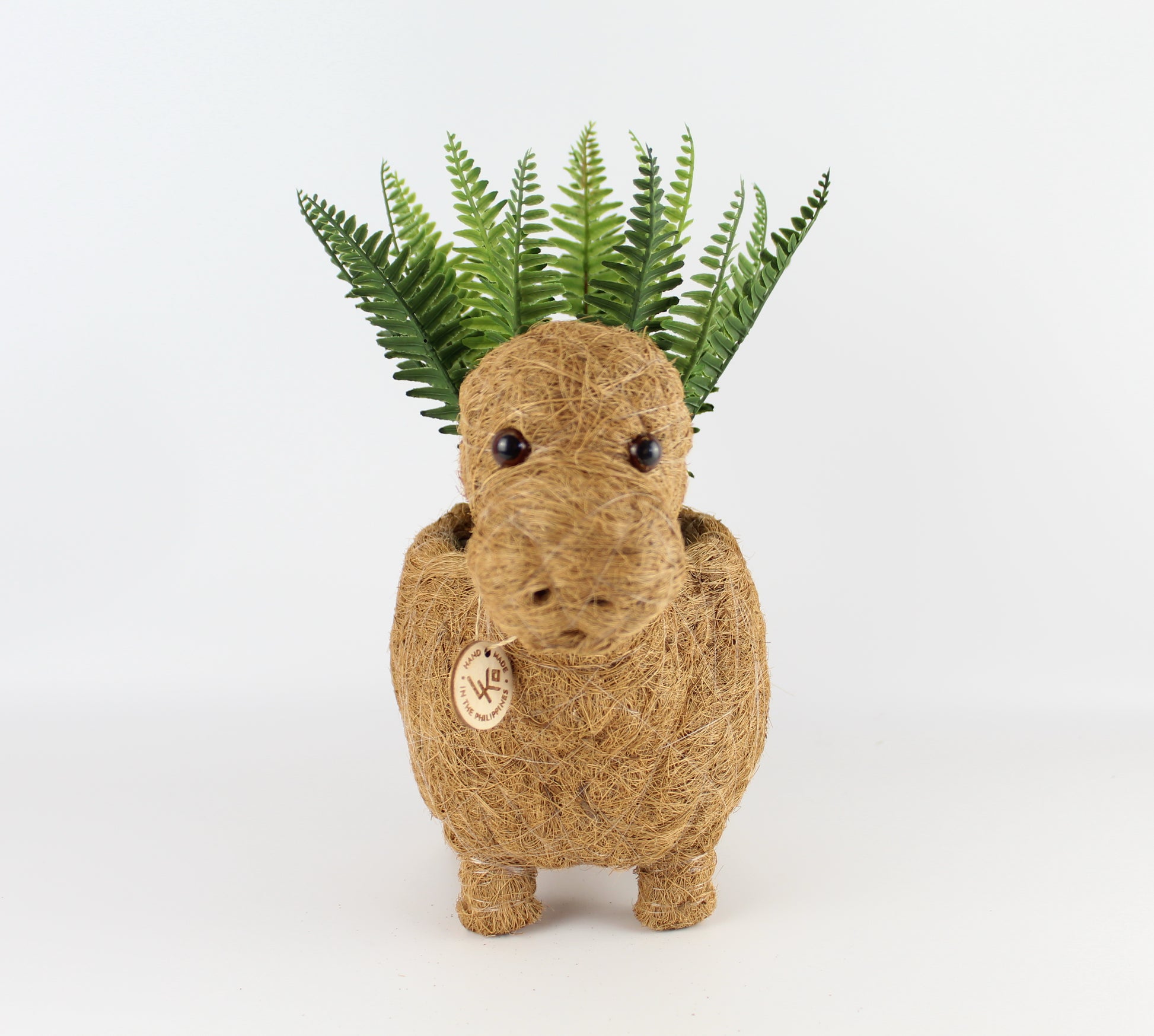 Handmade Coco Coira Animal Planter- Brontosaurus - Eco Handcraft store