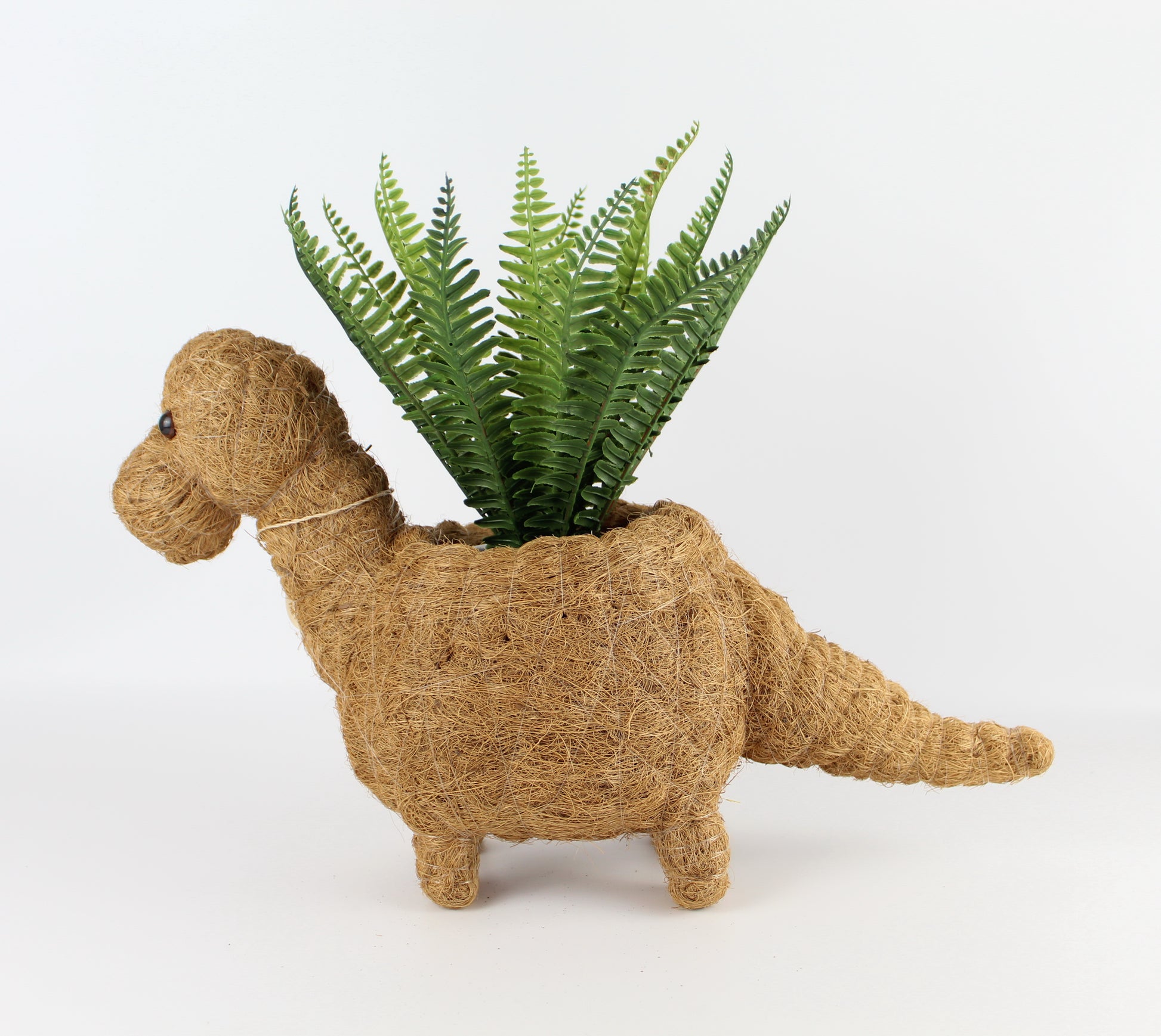 Handmade Coco Coira Animal Planter- Brontosaurus - Eco Handcraft store