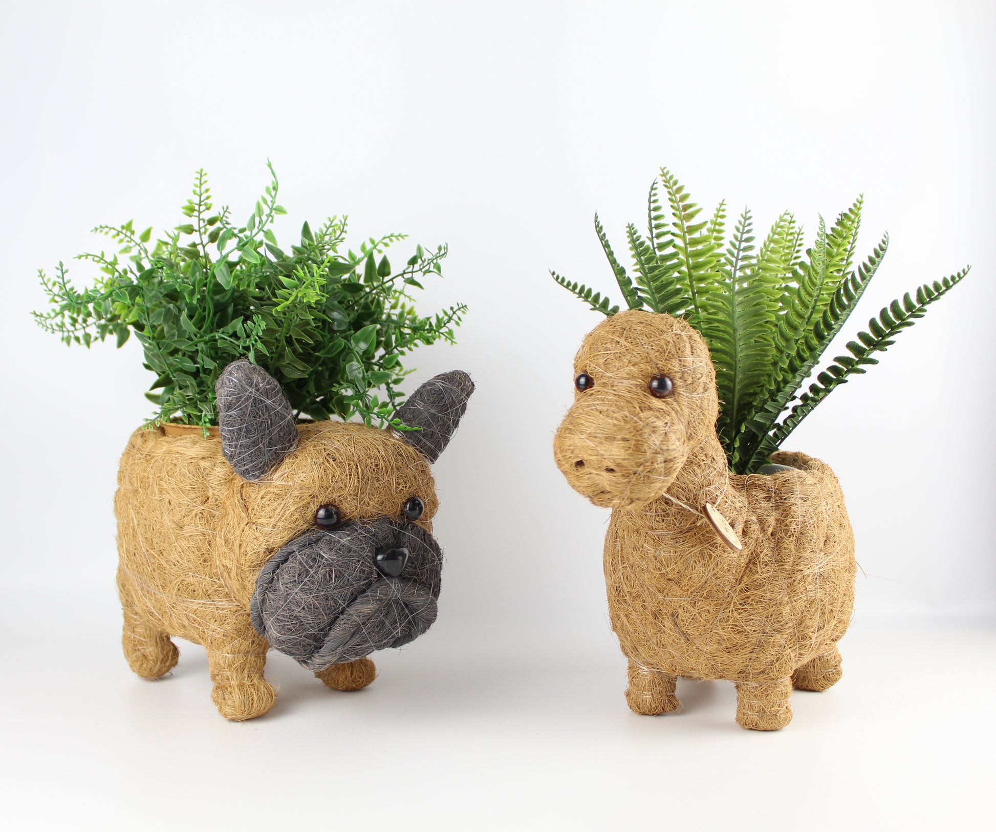 Handmade Coco Coira Animal Planter- French Bulldog - Eco Handcraft store