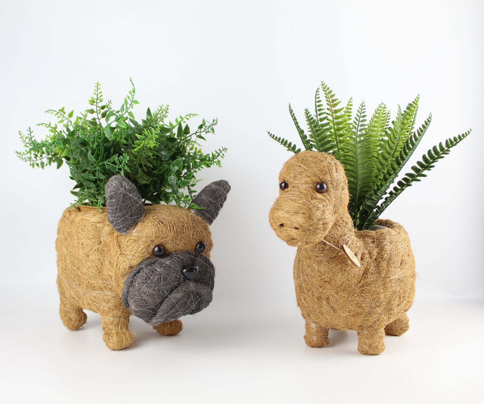 Handmade Coco Coira Animal Planter- Brontosaurus - Eco Handcraft store