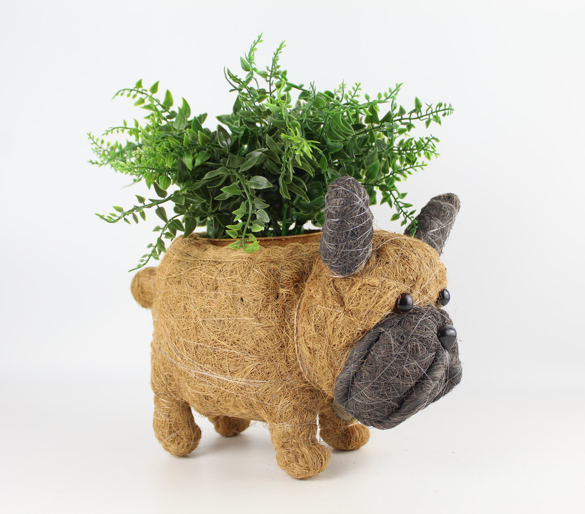 Handmade Coco Coira Animal Planter- French Bulldog - Eco Handcraft store