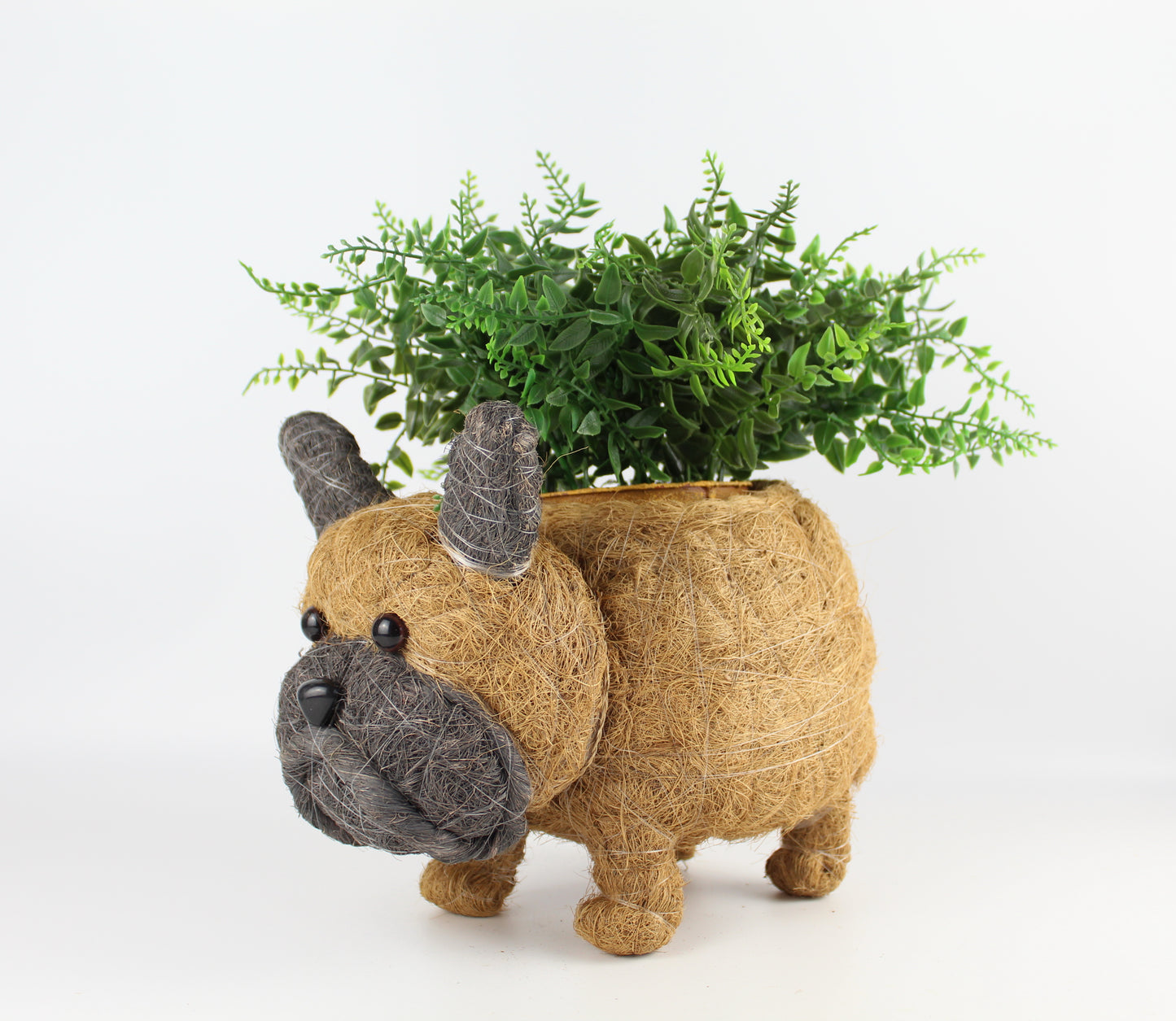 Handmade Coco Coira Animal Planter- French Bulldog - Eco Handcraft store