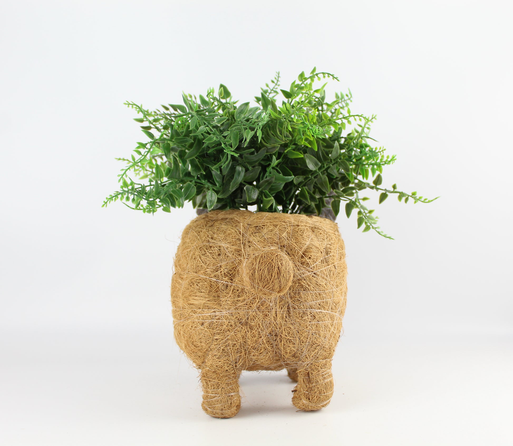 Handmade Coco Coira Animal Planter- French Bulldog - Eco Handcraft store