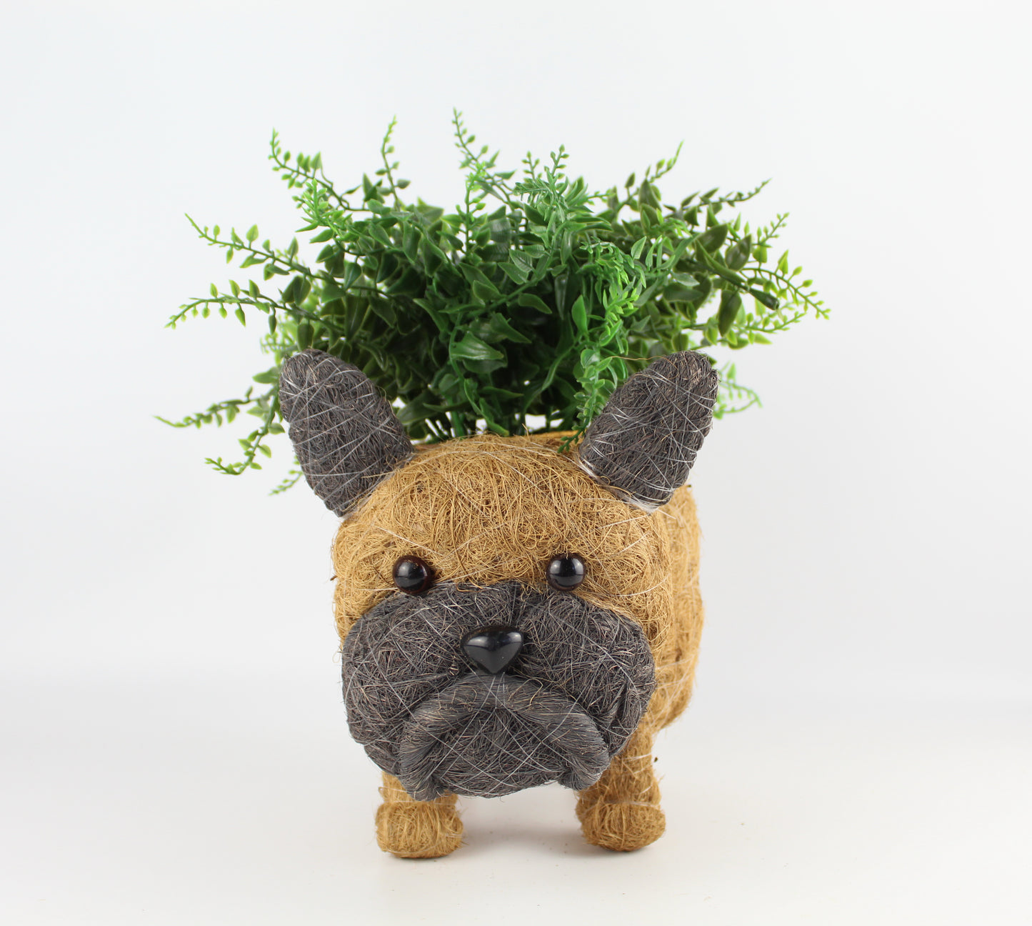 Handmade Coco Coira Animal Planter- French Bulldog - Eco Handcraft store