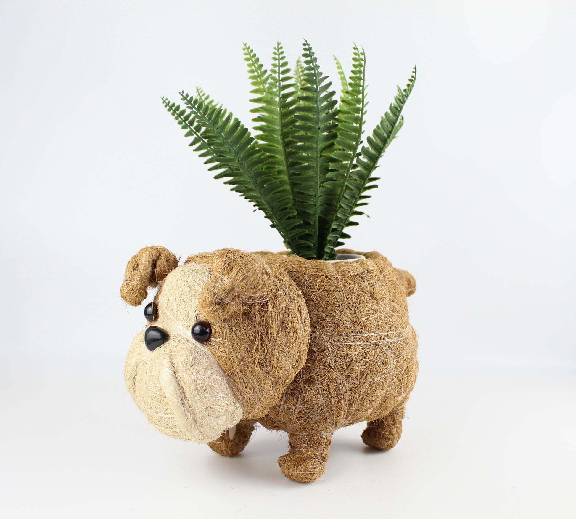 Handmade Coco Coira Animal Planter- English Bulldog - Eco Handcraft store