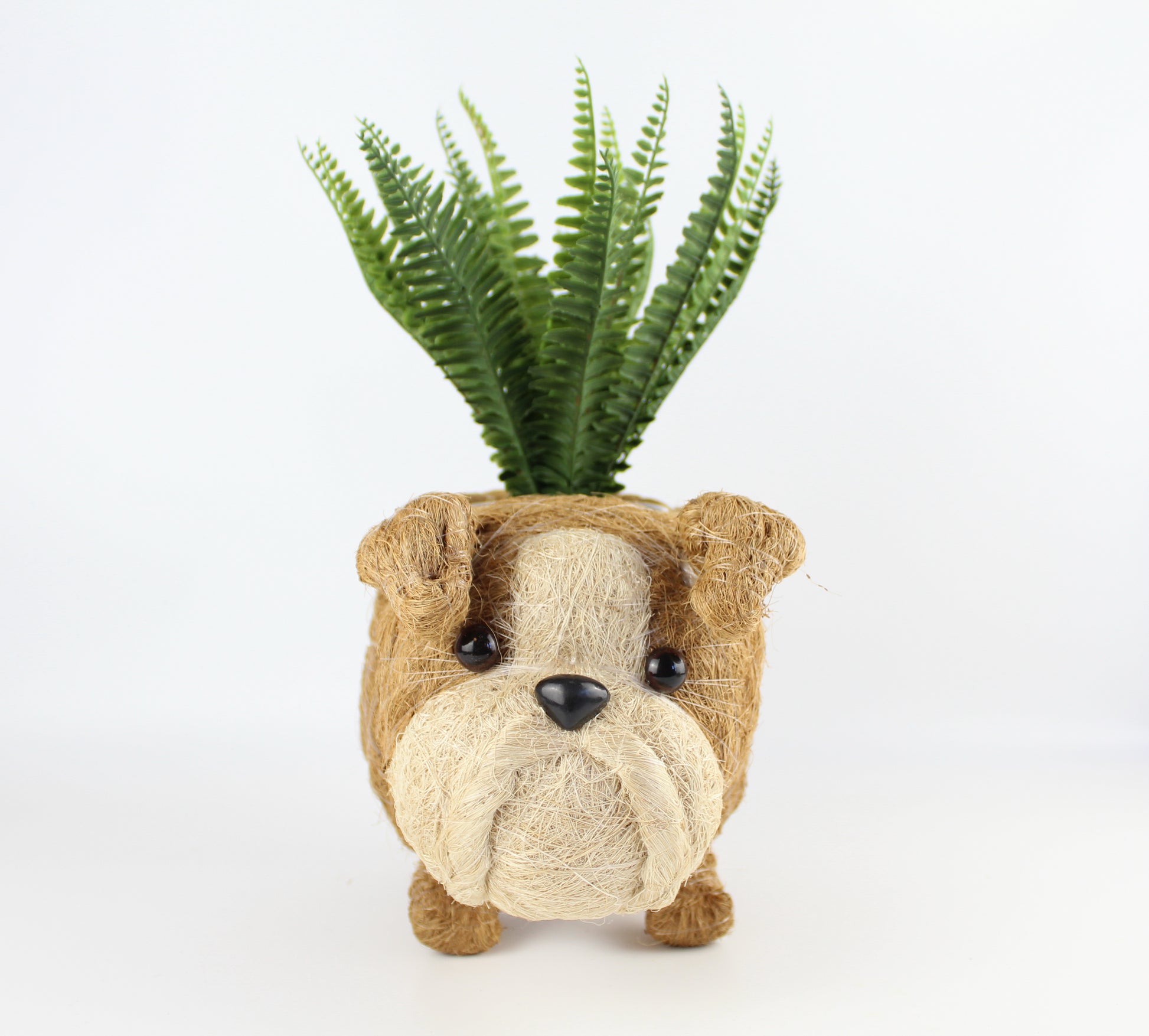 Handmade Coco Coira Animal Planter- English Bulldog - Eco Handcraft store