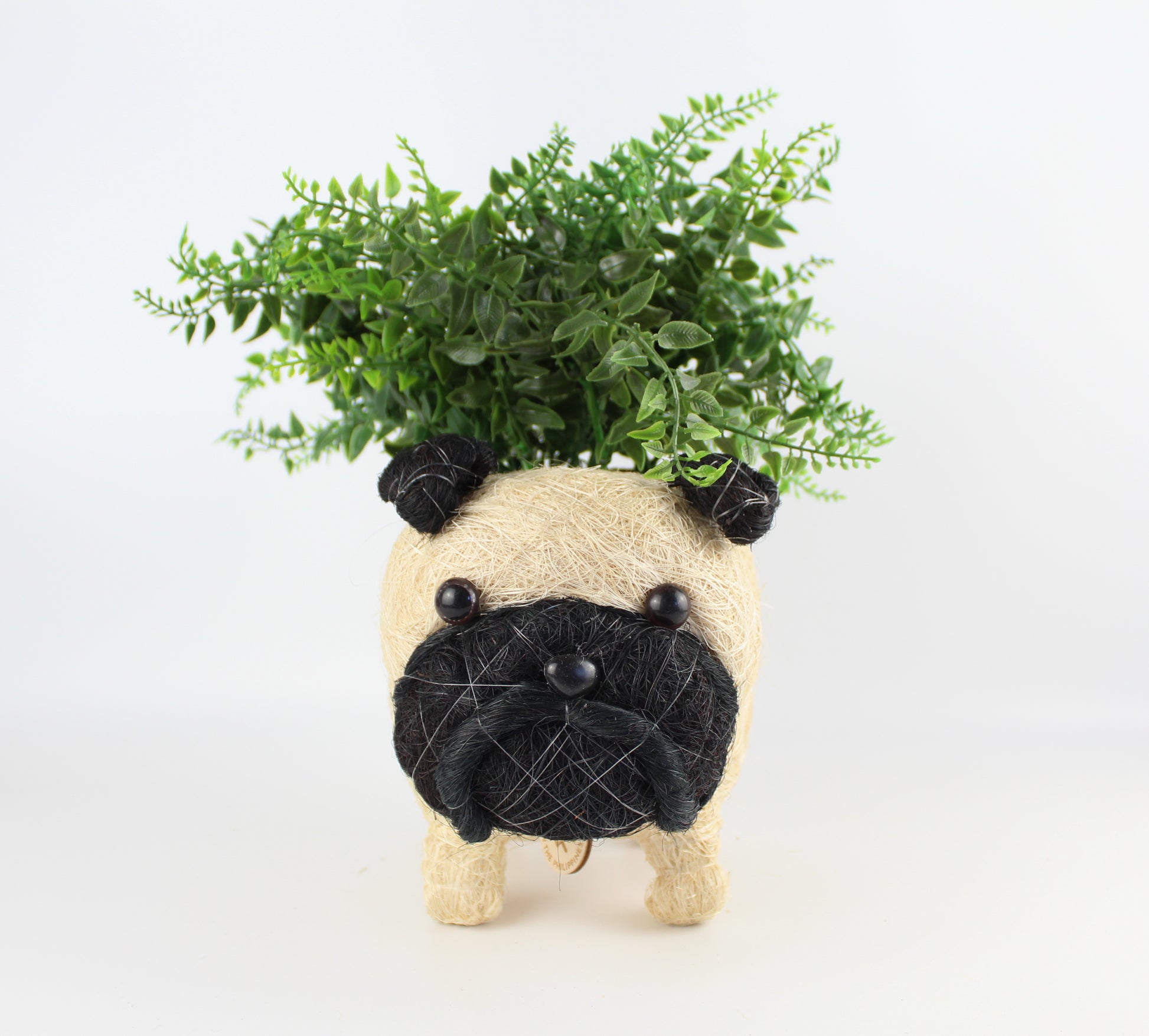 Handmade Coco Coira Animal Planter- Pug - Eco Handcraft store