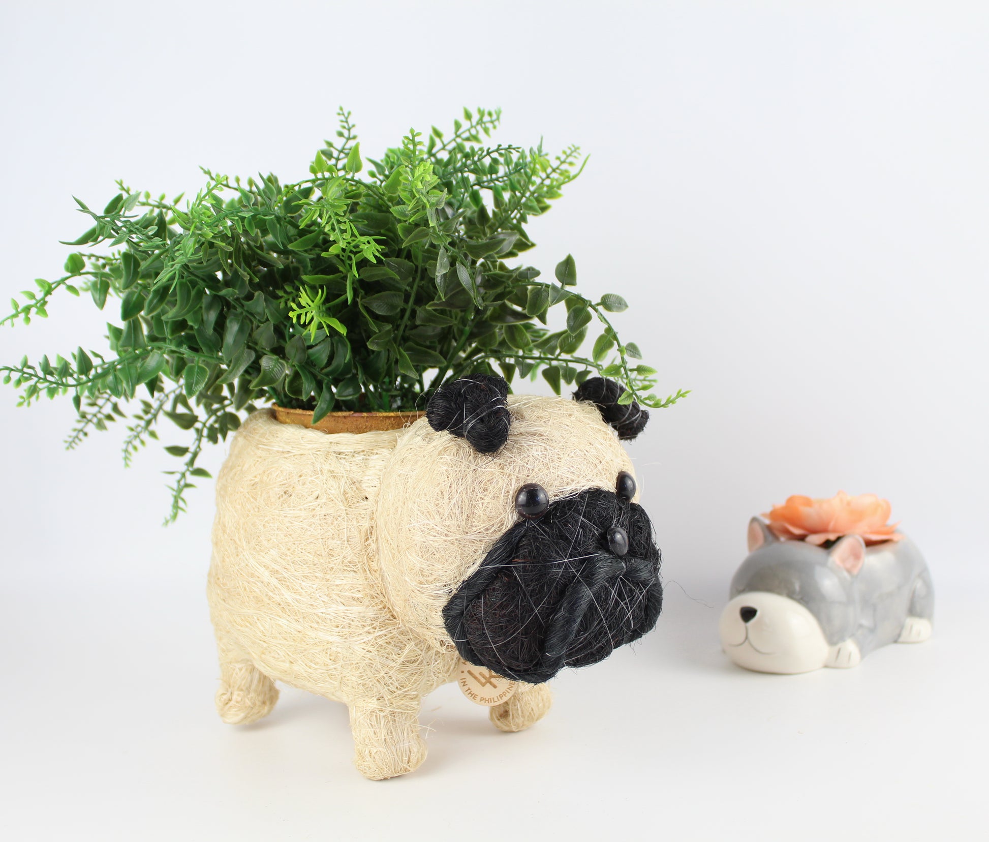 Handmade Coco Coira Animal Planter- Pug - Eco Handcraft store