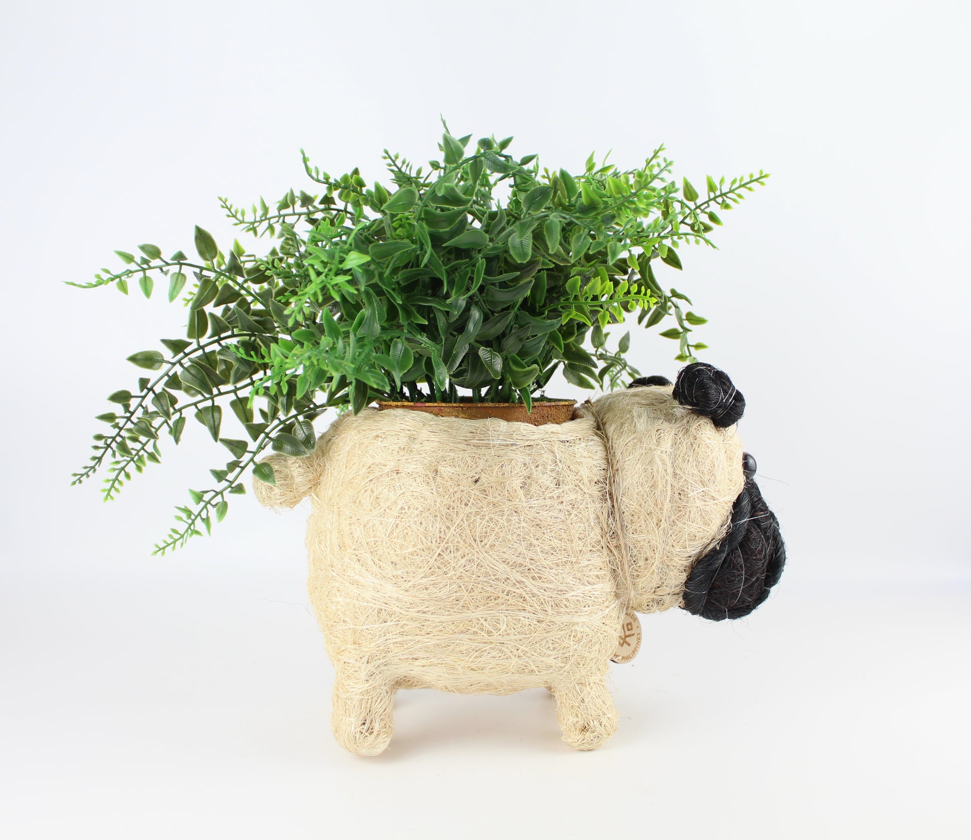 Handmade Coco Coira Animal Planter- Pug - Eco Handcraft store