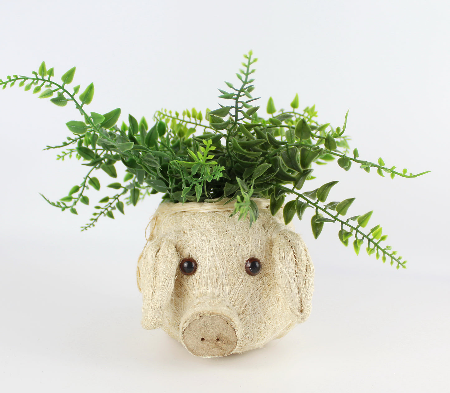 Handmade Coco Coira Animal Planter- Mini Pot Pig - Eco Handcraft store