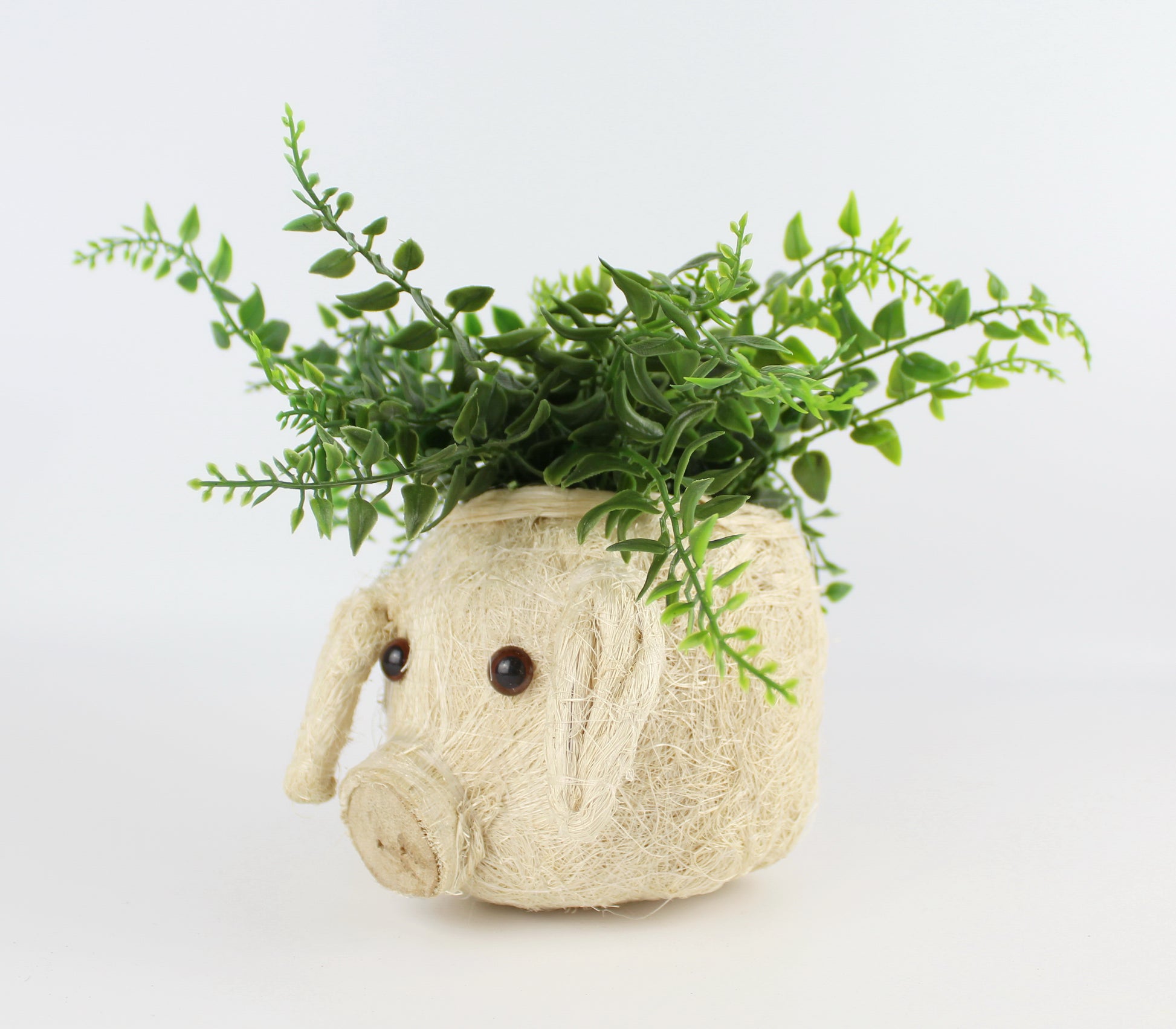 Handmade Coco Coira Animal Planter- Mini Pot Pig - Eco Handcraft store