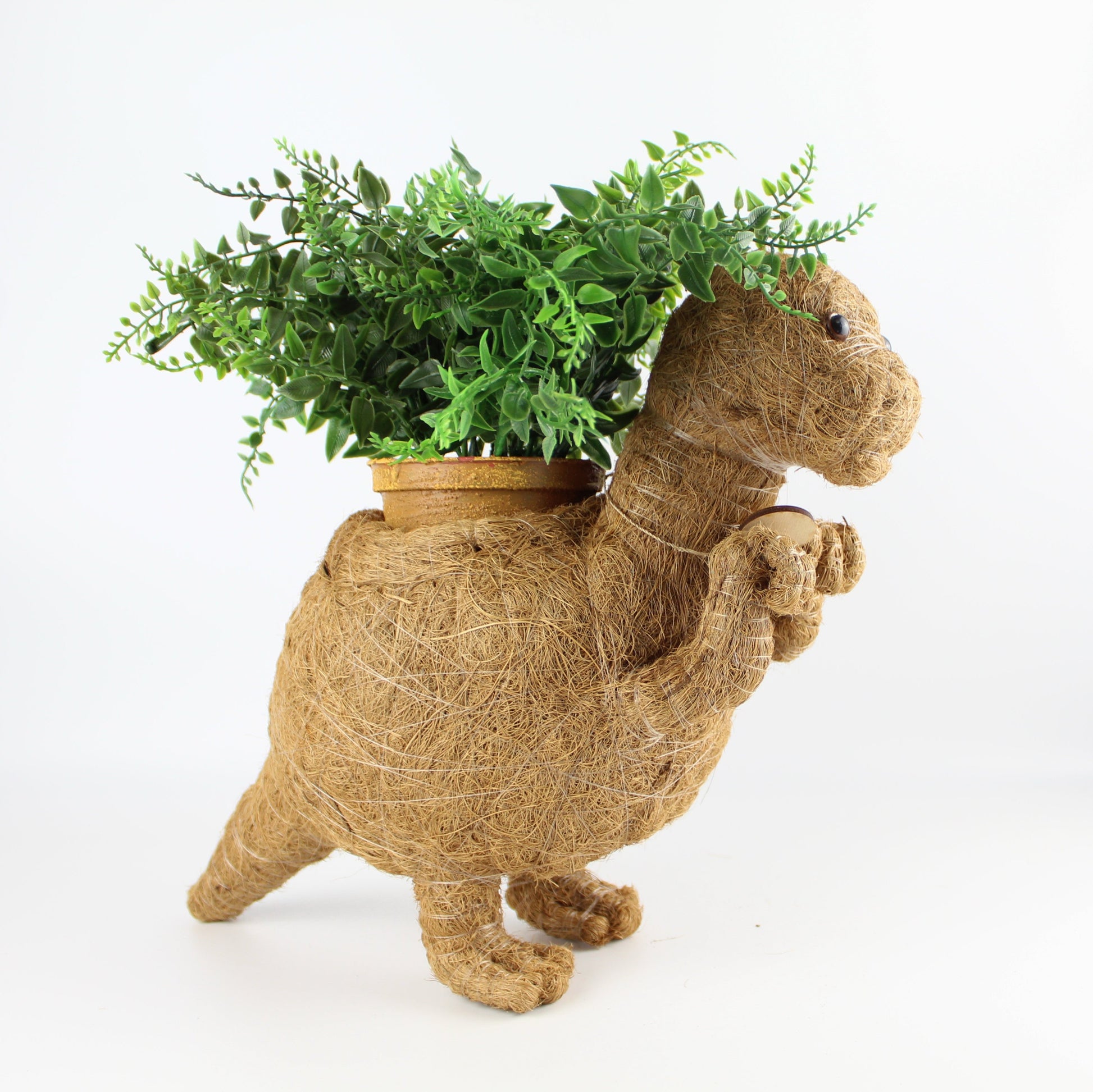 Handmade Coco Coira Animal Planter-T-Rex - Eco Handcraft store