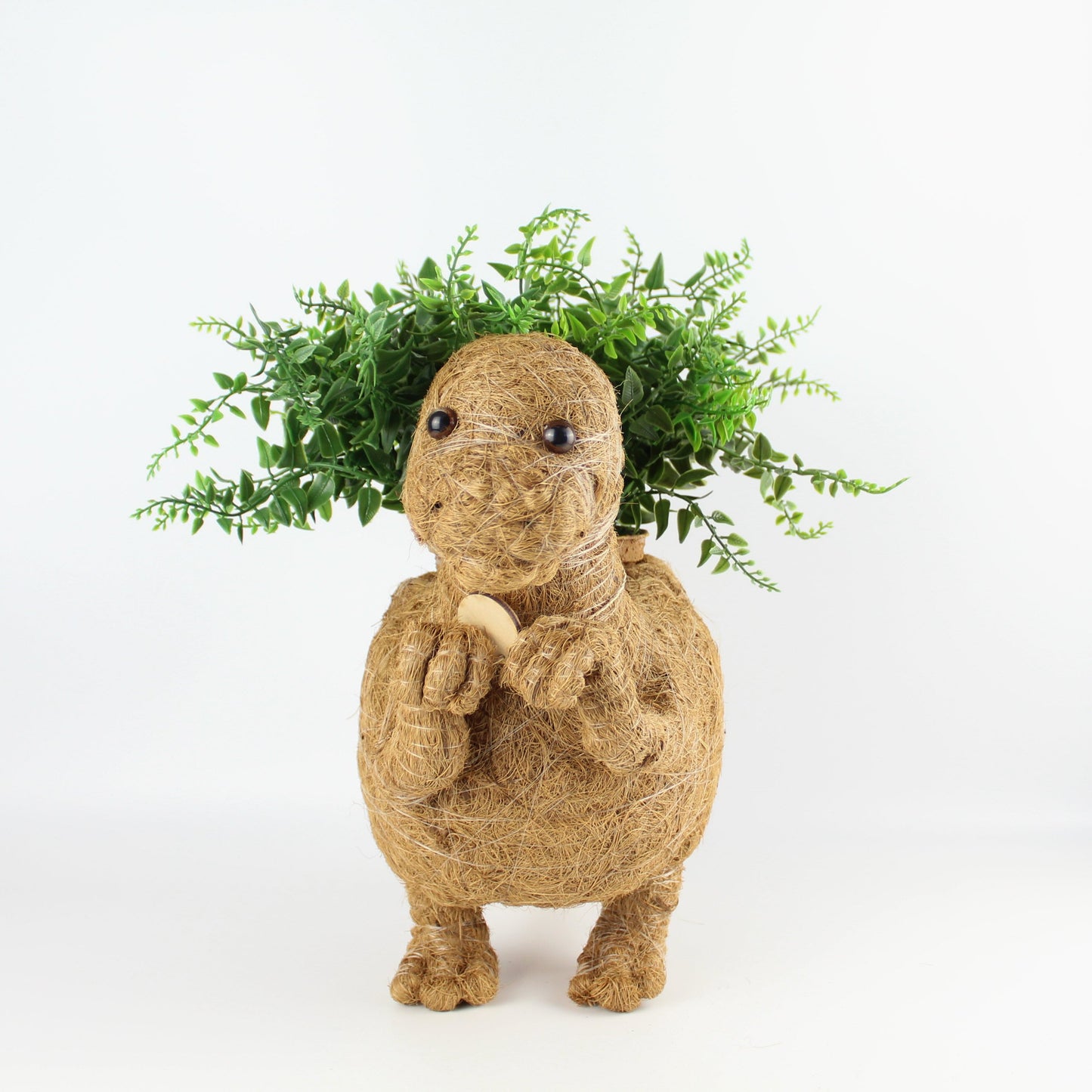 Handmade Coco Coira Animal Planter-T-Rex - Eco Handcraft store