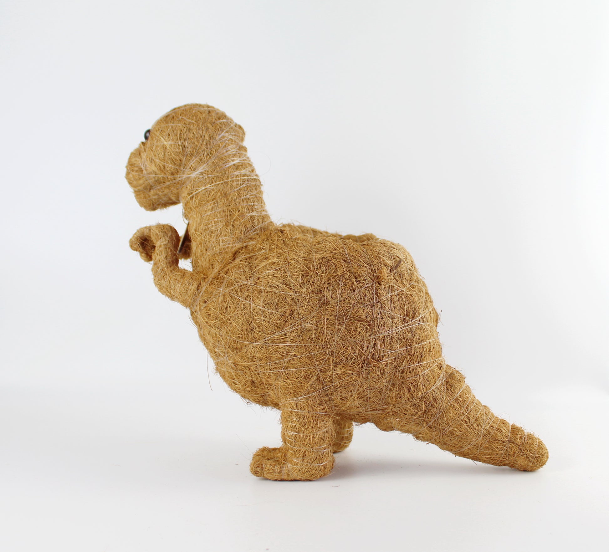 Handmade Coco Coira Animal Planter-T-Rex - Eco Handcraft store