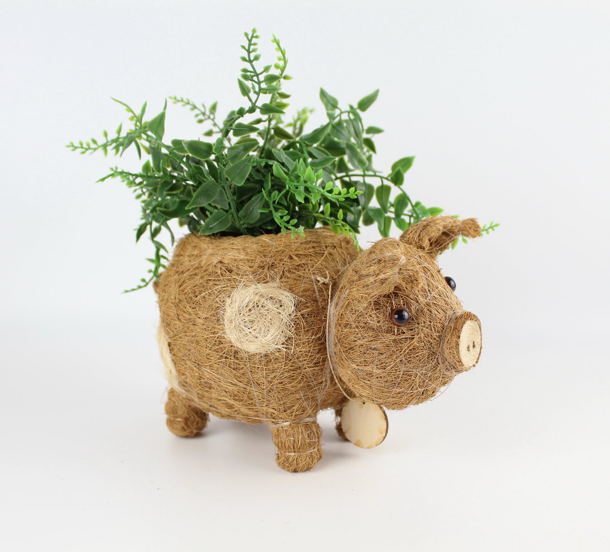 Handmade Coco Coira Animal Planter- Baby Pig - Eco Handcraft store