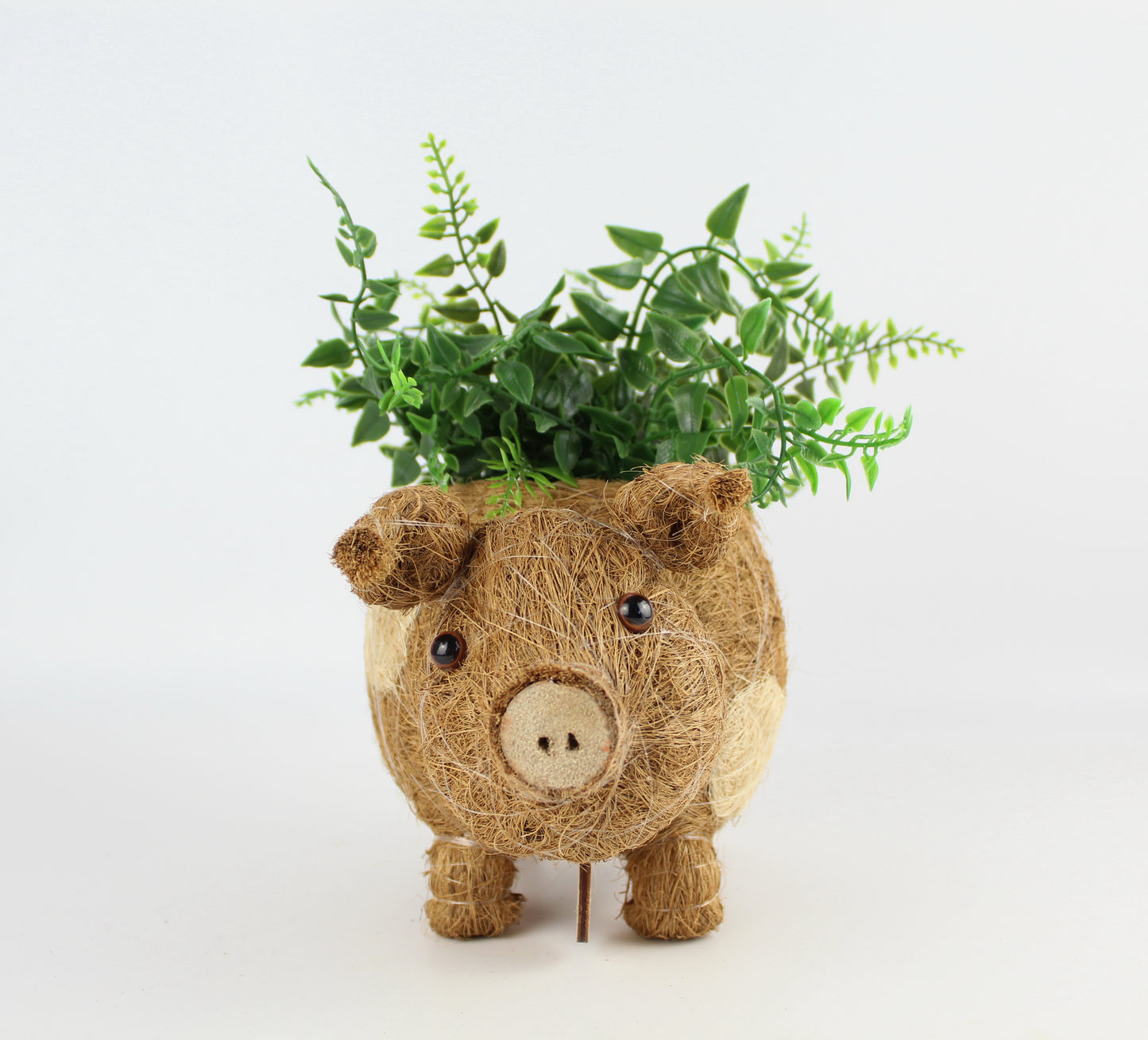 Handmade Coco Coira Animal Planter- Baby Pig - Eco Handcraft store