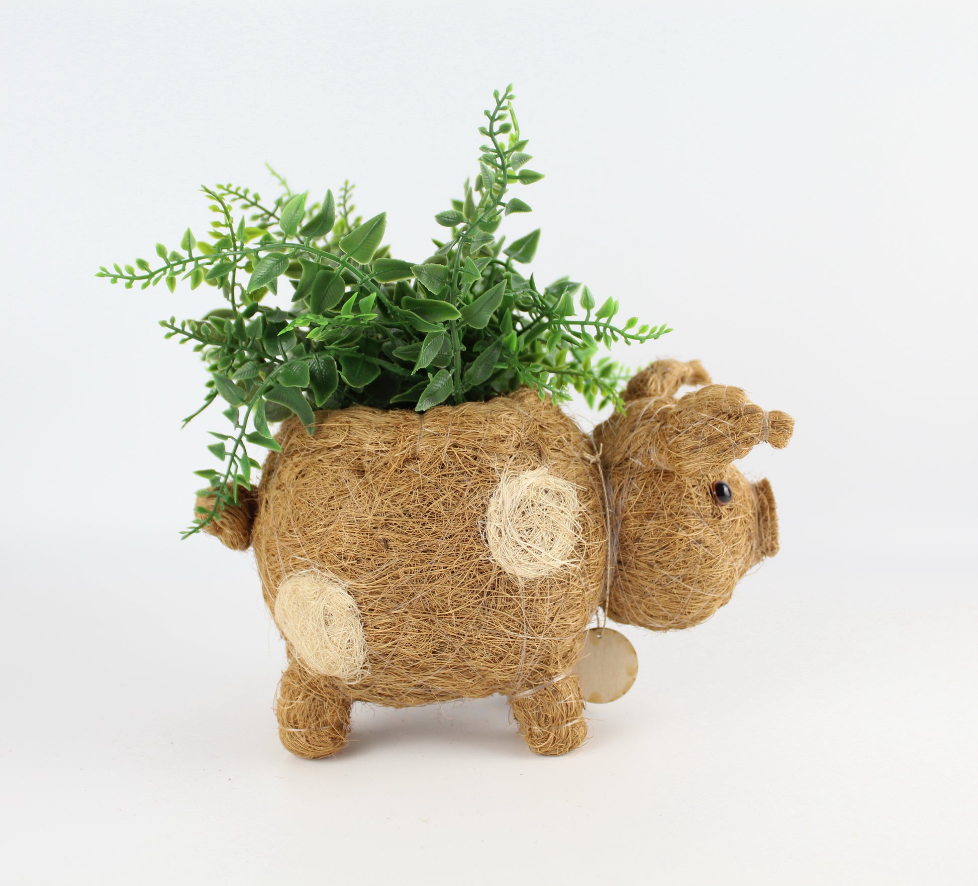 Handmade Coco Coira Animal Planter- Baby Pig - Eco Handcraft store