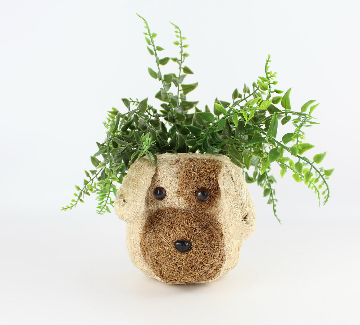 Handmade Coco Coira Animal Planter- Mini Pot Dog - Eco Handcraft store