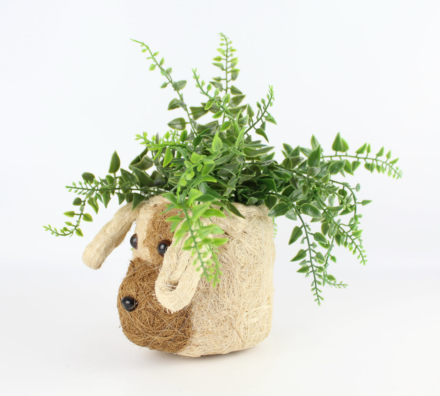 Handmade Coco Coira Animal Planter- Mini Pot Dog - Eco Handcraft store